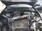 Volkswagen Atlas 2.0T Se W/Technology 1V2WR2CA7RC600704 photo