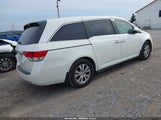 Honda Odyssey Ex 5FNRL5H47EB020726 снимка