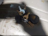Miniaturka zdjęcia 11