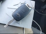 Miniaturka zdjęcia 11