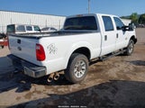 Ford F-250 Xl 1FT7W2BT8EEB61903 снимка