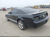 Ford Mustang V6/V6 Premium 1ZVHT80N095139515 снимка