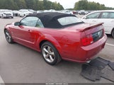 Ford Mustang Gt Deluxe/Gt Premium 1ZVHT85H085131870 fotografie