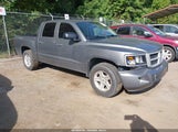 Dodge Dakota Bighorn/Lonestar 1D7RE3GK9AS230343 fotografie