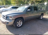 Dodge Dakota Bighorn/Lonestar 1D7RE3GK9AS230343 fotografie