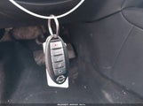 Miniaturka zdjęcia 11
