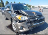 Toyota Rav4 Limited V6 JTMBK31V395075256 photo