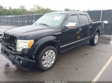 Ford F-150 King Ranch/Lariat/Platinum/Xl/Xlt 1FTPW12V39FA49943 fotografie