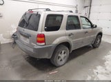 Ford Escape Xlt 1FMYU03151KB27145 снимка