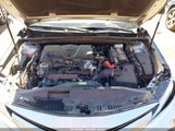 Toyota Camry Xle 4T1B11HK6KU776383 photo