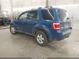 Ford Escape Xlt 1FMCU93138KD42550 снимка