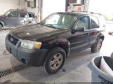 Ford Escape Xlt/Xlt Sport 1FMYU93106KA37462 photo