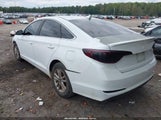 Hyundai Sonata Se 5NPE24AF1GH312657 снимка