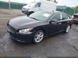 Nissan Maxima 3.5 S/3.5 Sv 1N4AA5AP3EC474384 снимка