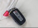 Miniaturka zdjęcia 11