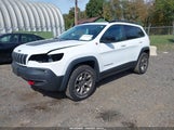 Jeep Cherokee Trailhawk 4X4 1C4PJMBX7ND517602 fotografie