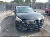 Hyundai Sonata Sport 5NPE34AF2GH295560 снимка