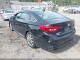 Hyundai Sonata Sport 5NPE34AF2GH295560 снимка