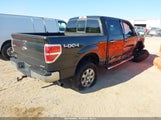 Ford F-150 Xlt 1FTFW1EF5EFA44382 снимка