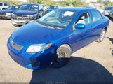 Toyota Corolla Le 2T1BU4EEXAC442445 fotografie