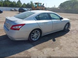 Nissan Maxima 3.5 Sv 1N4AA51E59C807611 снимка