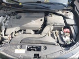 Miniaturka zdjęcia 10