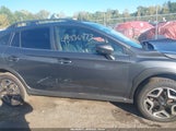 Subaru Crosstrek Limited JF2GTAMCXLH206157 photo