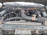 Ford F-150 King Ranch Edition/Lariat/Xlt 1FTRW08L31KB85106 photo