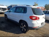 Volkswagen Tiguan Se WVGBV7AX8BW501020 fotografie