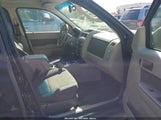 Ford Escape Xlt 1FMCU03G39KD06746 снимка