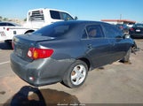 Toyota Corolla Le 2T1BU4EE7AC305527 снимка