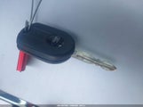 Miniaturka zdjęcia 11