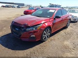 Miniaturka zdjęcia 2