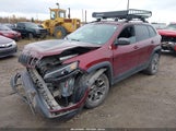 Jeep Cherokee Trailhawk 4X4 1C4PJMBX2LD531372 снимка