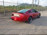 Ford Mustang V6 Deluxe/V6 Premium 1ZVFT80N875355679 fotografie
