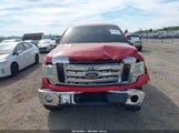 Ford F-150 Fx4/Harley-Davidson/King Ranch/Lariat/Platinum/Xl/Xlt 1FTFW1EV7AFA81208 снимка