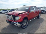 Ford F-150 Fx4/Harley-Davidson/King Ranch/Lariat/Platinum/Xl/Xlt 1FTFW1EV7AFA81208 fotografie