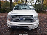 Ford F-150 Fx4/King Ranch/Lariat/Platinum/Xl/Xlt 1FTPW14V19FA69668 photo