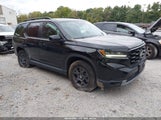 Honda Pilot Trailsport 5FNYG1H62SB082637 photo