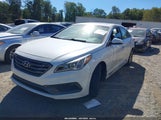 Hyundai Sonata Sport 5NPE34AF7GH416308 photo