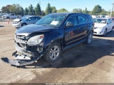 Chevrolet Equinox Ls 2GNFLEEK3G6216362 снимка