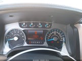 Ford F-150 Platinum 1FTFW1CF1DFB29480 снимка