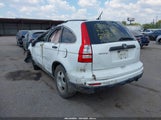 Honda Cr-V Lx 3CZRE3H36BG704818 снимка