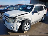 Ford Escape Xlt 1FMCU0D77AKC50409 fotografie