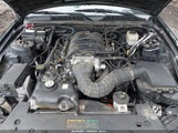 Ford Mustang Gt Deluxe/Gt Premium 1ZVHT85H085183404 снимка