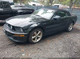 Ford Mustang Gt Deluxe/Gt Premium 1ZVHT85H085183404 photo