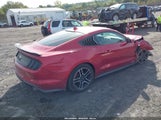 Ford Mustang Ecoboost Fastback 1FA6P8TH6L5190132 снимка