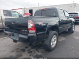 Toyota Tacoma Base V6 3TMLU42N59M037590 снимка