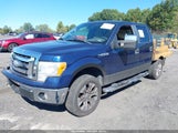 Ford F-150 Fx4/King Ranch/Lariat/Platinum/Xl/Xlt 1FTPW14V29FA83238 снимка