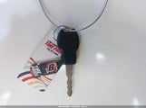 Miniaturka zdjęcia 11